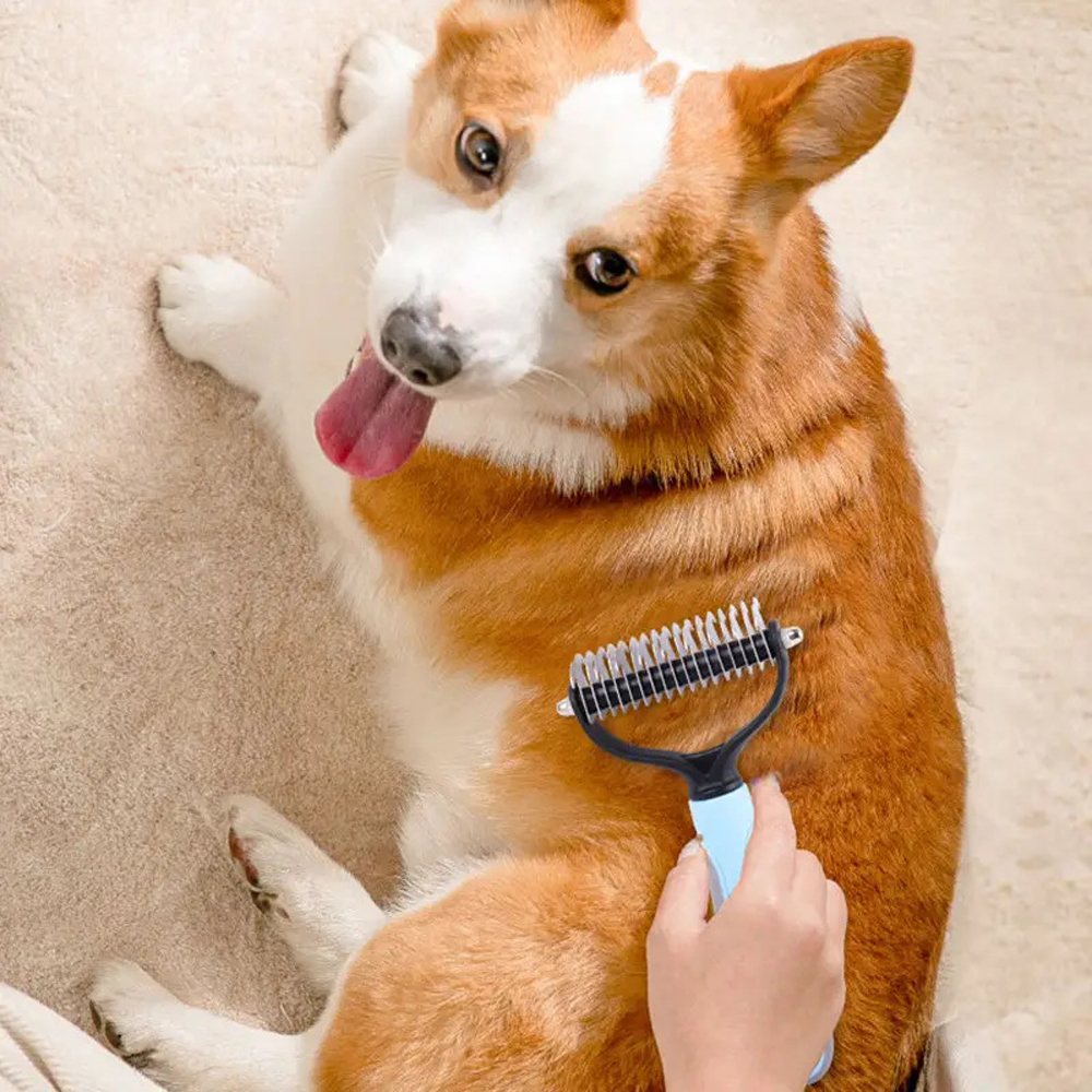 Réparer les poils maltraités et abîmés de votre animal – Petuxe